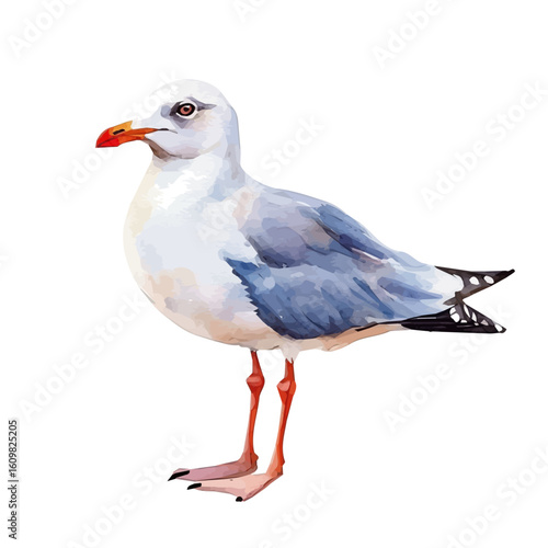 A hand-drawn illustration painting of a gull bird set in soft watercolor style, featuring delicate brush strokes, isolated on a white background, artistic, painted design, EPS format, set