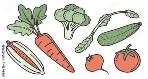 Hand-drawn illustration of fresh vegetables: carrot, broccoli, cucumber, radish, tomato, and corn.  Farm-fresh, healthy eating concept.