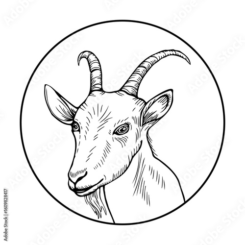 Black and white portrait of goat animal in circle, hand drawn in cartoon style.