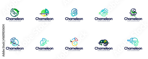 icon set logo chameleon animal, camouflage ability, natural defense, vector graphic illustration.