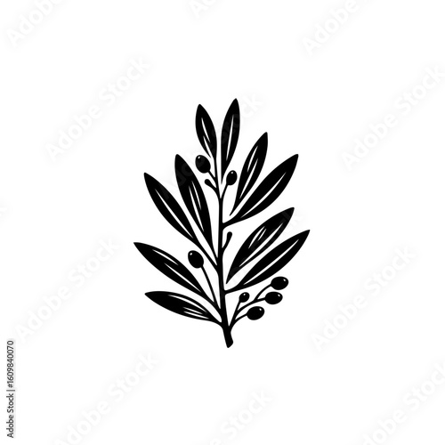 Black Silhouette of an Olive Branch with Berries 1.