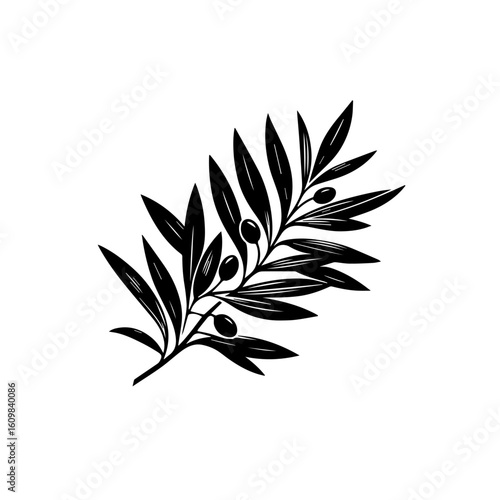 Black Silhouette of Olive Branch with Olives.