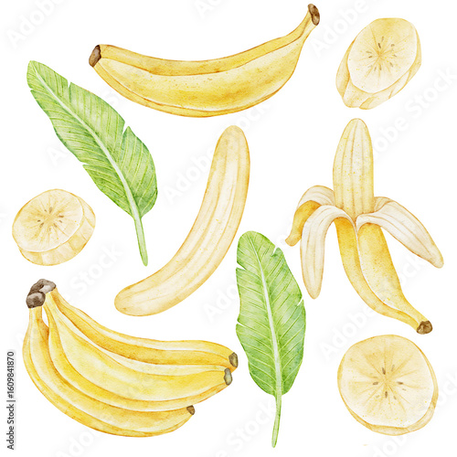 A vibrant set of watercolor banana illustrations including whole bananas, peeled banana, banana slices, and tropical banana leaves. Perfect for food design,  packaging, or tropical branding