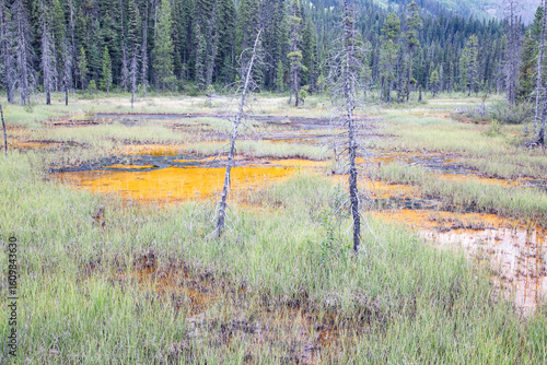 Paint Pots, Kootney Park