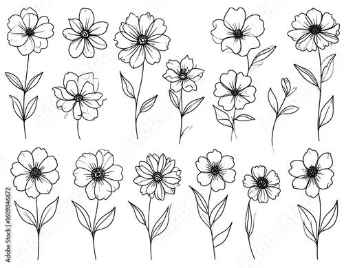 Collection of line art flowers
