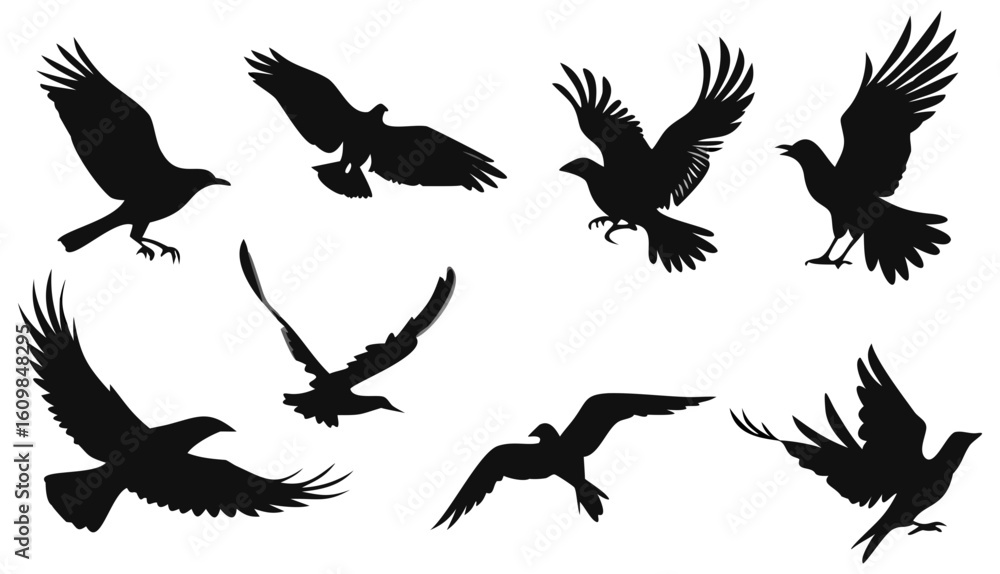 Fototapeta premium Silhouette birds flying vector illustration featuring eagles hawks and other birds in flight black and white art 100 on transparent background