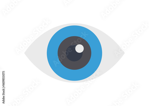 Stylized eye icon with blue iris and dark pupil vector illustration