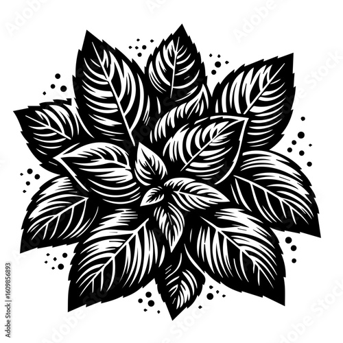 Black and White Stylized Basil Leaves Arrangement.