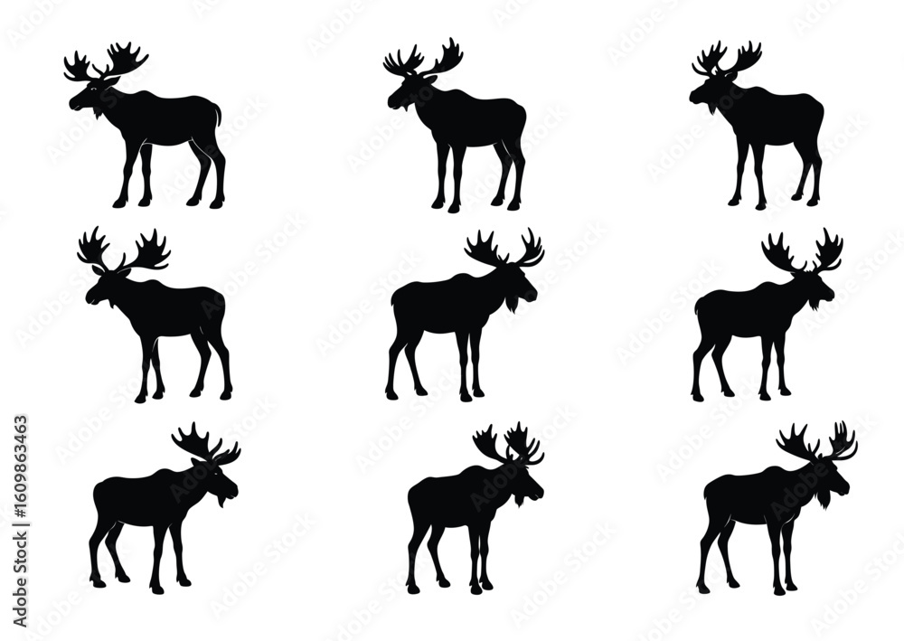 Fototapeta premium Moose silhouette vector Set