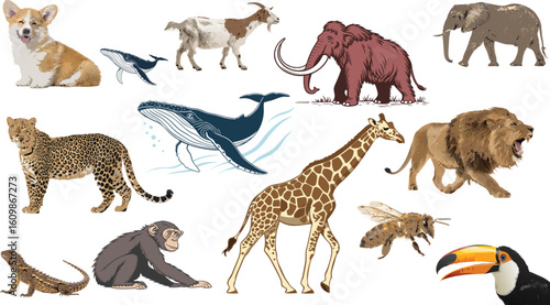 collage of wild animals horse dog wild elephant illustration wolf collection giraffe black nature icon bear farm set cat wildlife deer mammal zoo bird cow