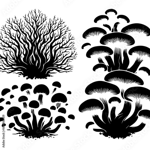 Black Silhouette of Forest Fungi and Bare Tree Branches.