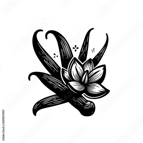 Vanilla Bean Pods and Flower Illustration.