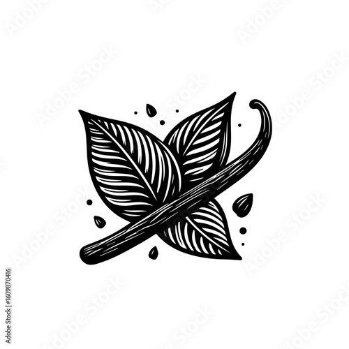 Vanilla Bean and Leaves Illustration.