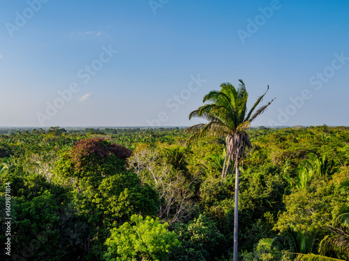 View from the High Temple, Lamanai Archaeological Reserve, Orange Walk District, Belize