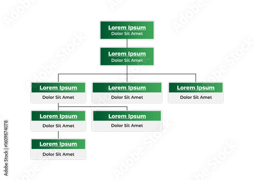 Organization chart demonstrating hierarchical structure