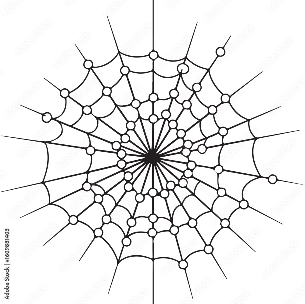 Obraz premium Black and white spider web pattern with circular nodes