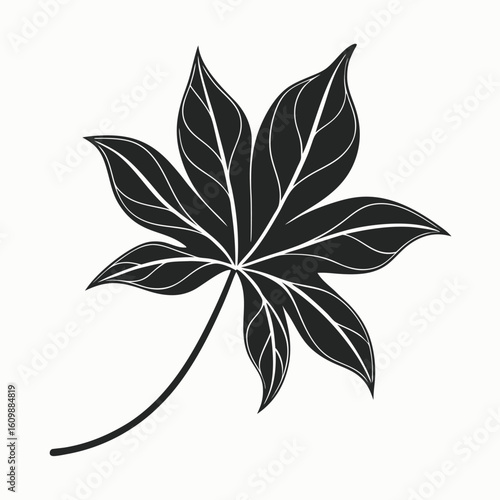 Monochrome castor bean leaf with veining displays nature's organic pattern on white