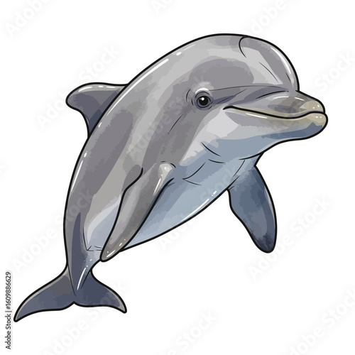 Happy Grey Dolphin Cartoon Illustration Aquatic Marine Animal Isolated on White Background