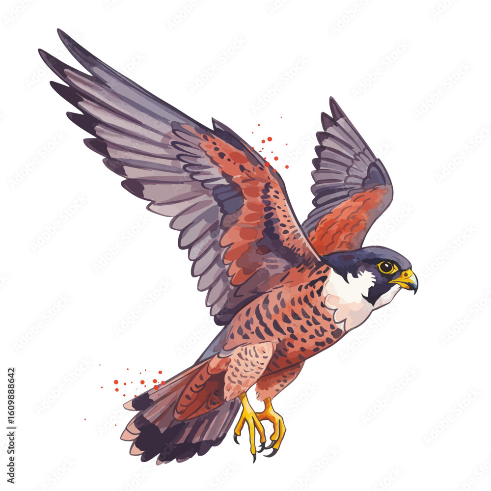 Fototapeta premium Dynamic Watercolor Falcon Flying Illustration Wild Bird of Prey in Mid-Air Design Element