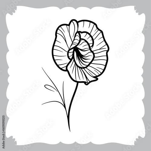 Detailed Line Art of a Pansy Flower in Full Bloom