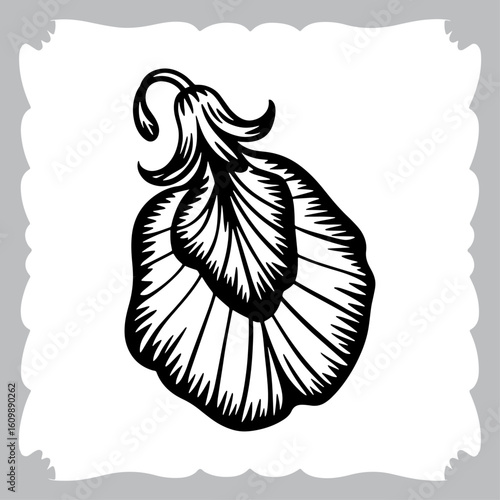 Detailed Black and White Line Art of a Sweet Pea Flower