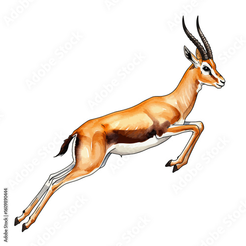 Dynamic Jumping Gazelle Isolated on White Background African Antelope Wildlife Illustration