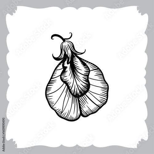 Line Art of a Pea Flower, Showing Petals, Stem, and Leaf