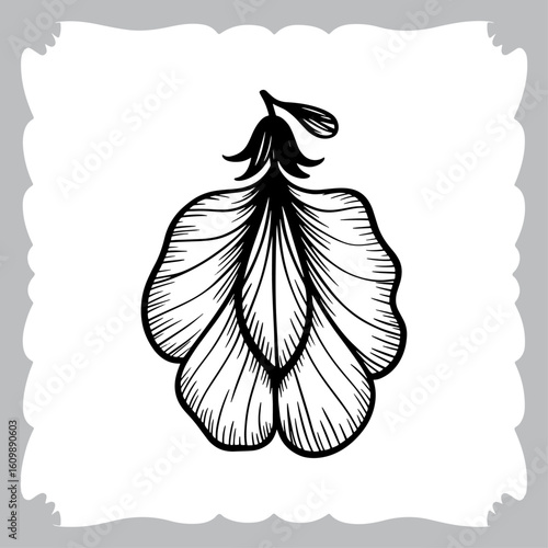 Line Art of a Pea Flower, Showing Petals, Stem, and Leaf