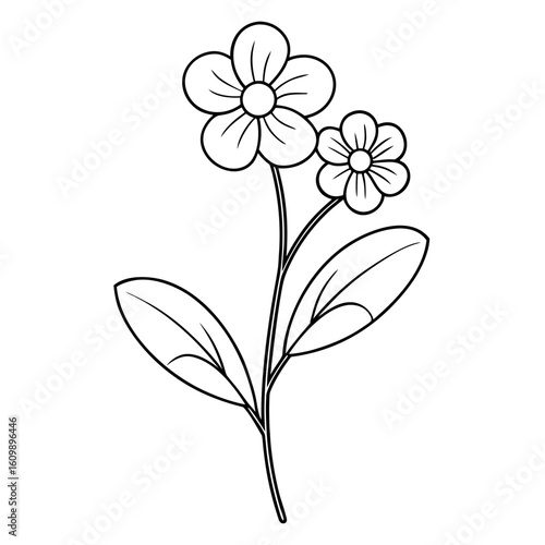 Forget-Me-Not Flower Plant Coloring Pages – Floral, Nature, Botanical, Outline, Line Art, Printable

