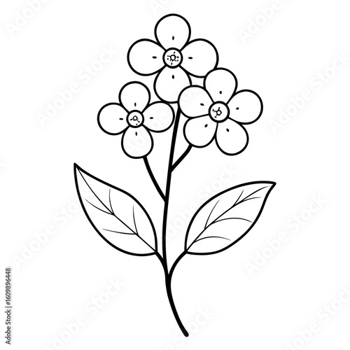 Forget-Me-Not Flower Plant Coloring Pages – Floral, Nature, Botanical, Outline, Line Art, Printable

