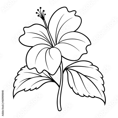 Hibiscus Flower Plant Coloring Pages – Tropical, Floral, Nature, Outline, Kids, Printable, Garden

