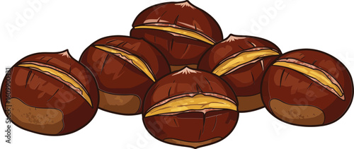 Chestnuts group brown nuts fresh natural autumn harvest healthy snack vector illustration