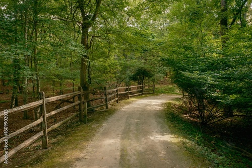 A trail at Hoyt Farm Nature Preserve, Commack, Long Island, New York