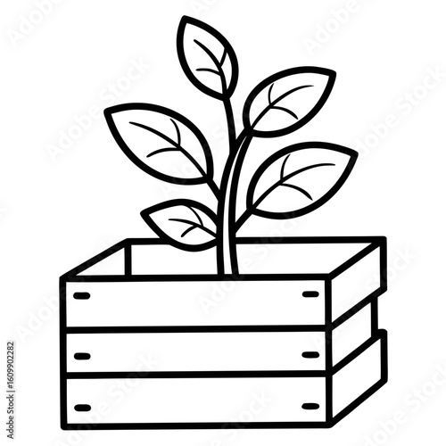 Plant Growing from Wooden Crate Coloring Pages – Nature, Garden, Growth, Outline, Kids, Printable, Rustic

