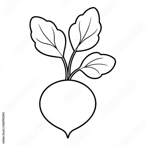 Radishes Vegetable Coloring Pages – Healthy, Fresh, Garden, Outline, Kids, Printable, Fun

