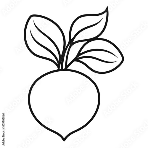 Radishes Vegetable Coloring Pages – Healthy, Fresh, Garden, Outline, Kids, Printable, Fun


