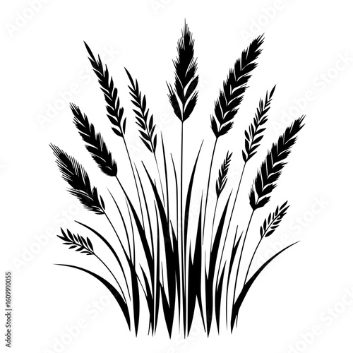 Black Silhouette of Wheat Stalks and Grass.