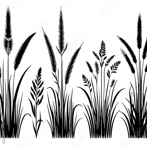 Black Silhouette of Various Grasses and Seed Heads.