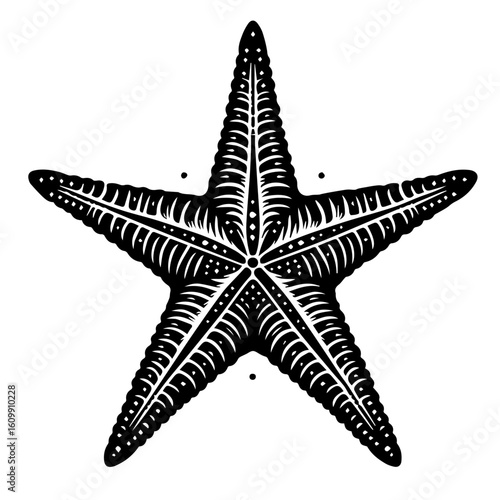 Intricate Black and White Starfish Silhouette.