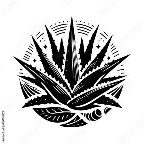 Stylized Black and White Agave Plant Illustration.
