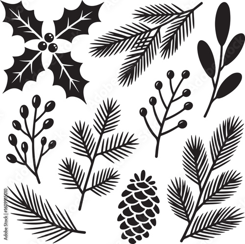 Holly pine branches berries and pinecone vector