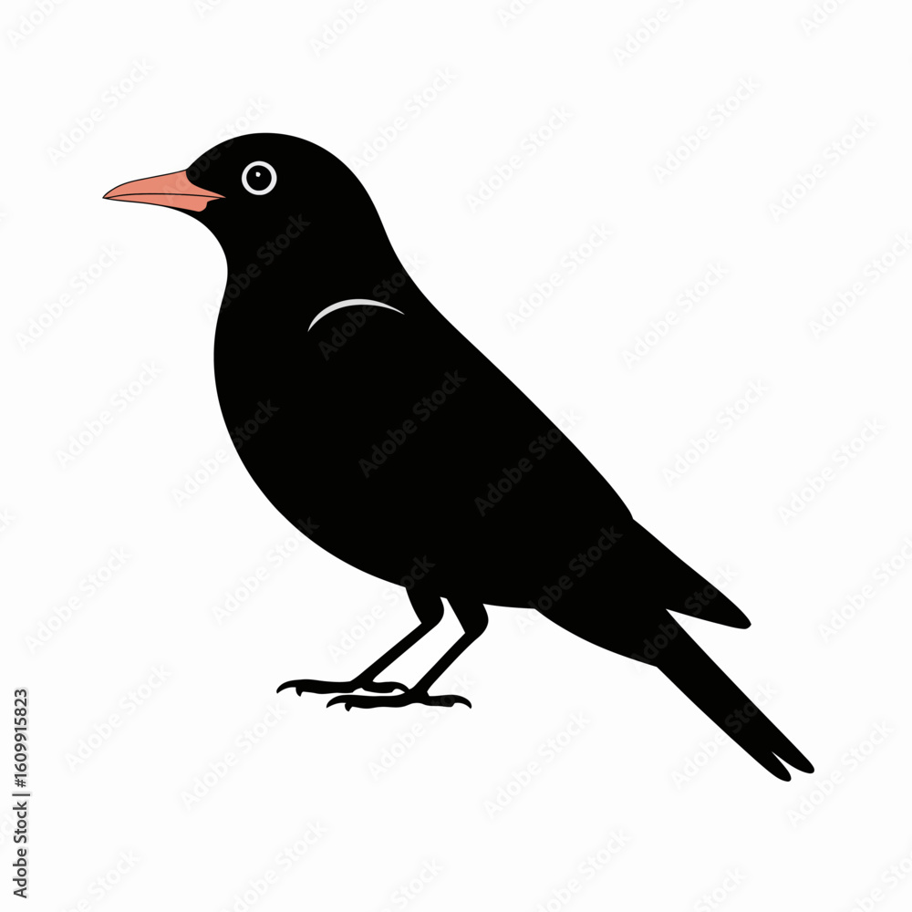 Obraz premium Black Bird Illustration on White Background