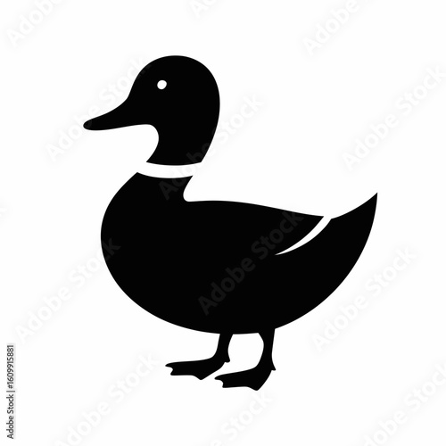 Black Duck Silhouette on White Background