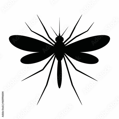 Black Silhouette of a Mosquito on White Background