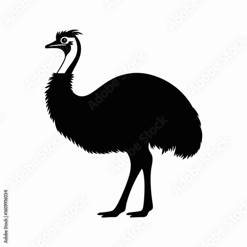 Black Silhouette of an Emu Bird on White Background