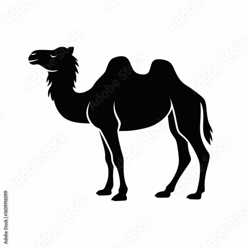 Camel Silhouette Illustration on White Background