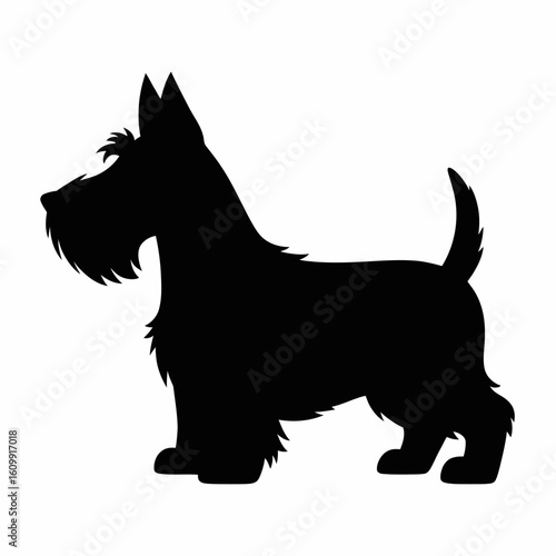 Scottish Terrier Silhouette Illustration