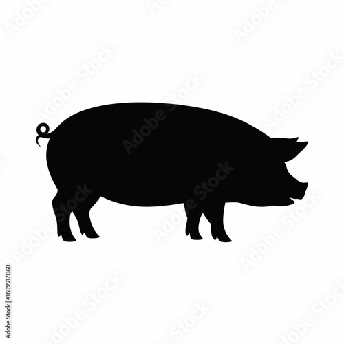 Silhouette of a Pig on White Background