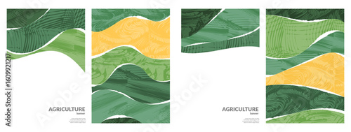Vineyard collage vector layout with flat eco background, rural abstract pattern, grape tea design, nature field, farmland art, green scenery, patchwork terrace, flyer wallpaper, countryside story