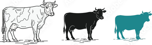 Vector set showcasing three cow illustrations in different styles and color schemes
